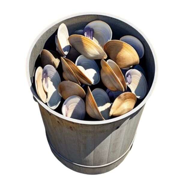 IMG 7152 removebg preview Thumbnail